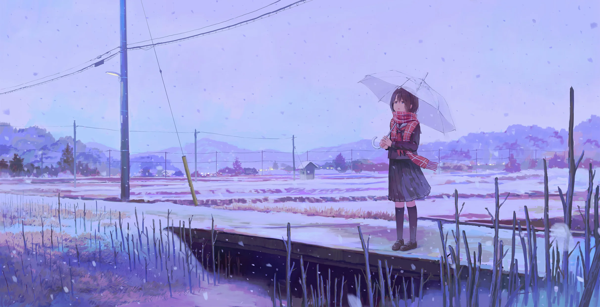 Reader —— 阅读 3 服务器版